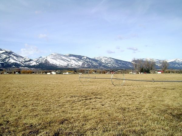 2nd image of 264 Black Lane