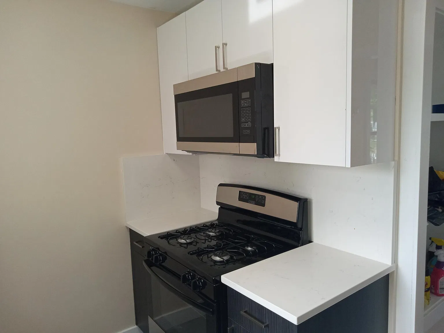 3 bed, 864 sqft, $3,000 — Photo 4
