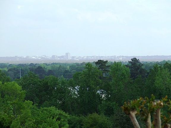 View of Montgomery skyline