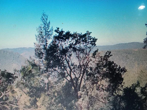 13 Independence Hill Rd, Colfax, CA 95713