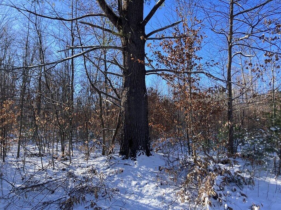 2nd image of 0 Calkins Rd