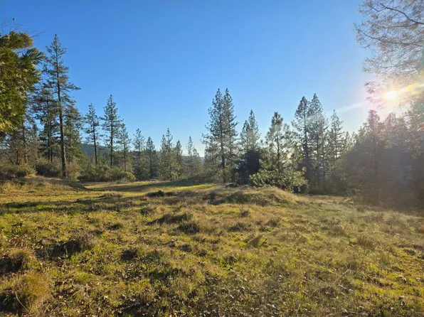 Double Eagle Way, Brownsville, CA 95919