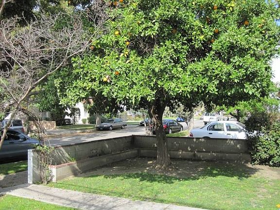 Front Yard