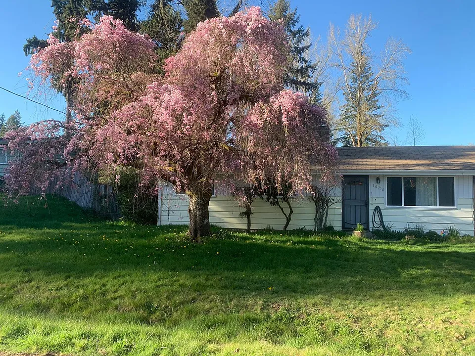 16336 SE 131st Pl