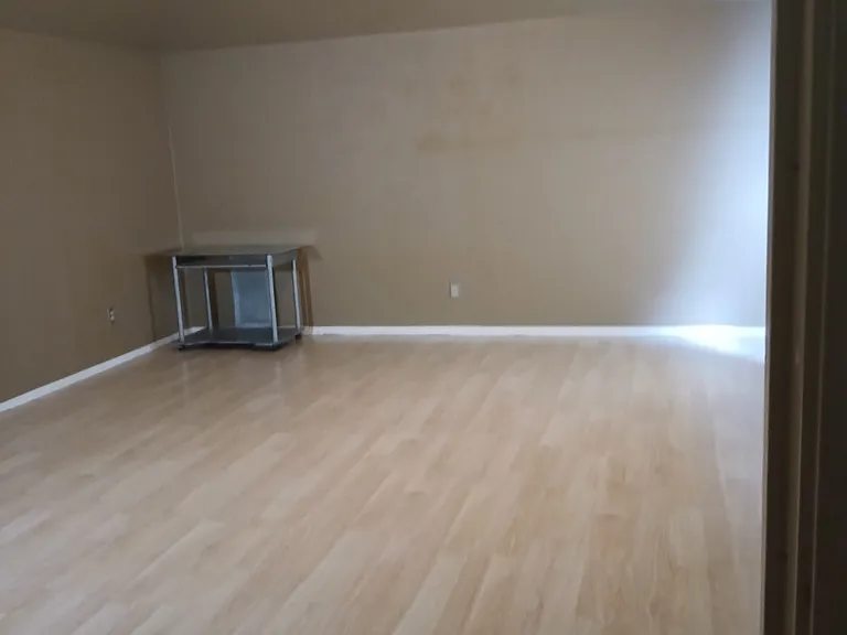 1810 Highland Mist Ln — Photo 14