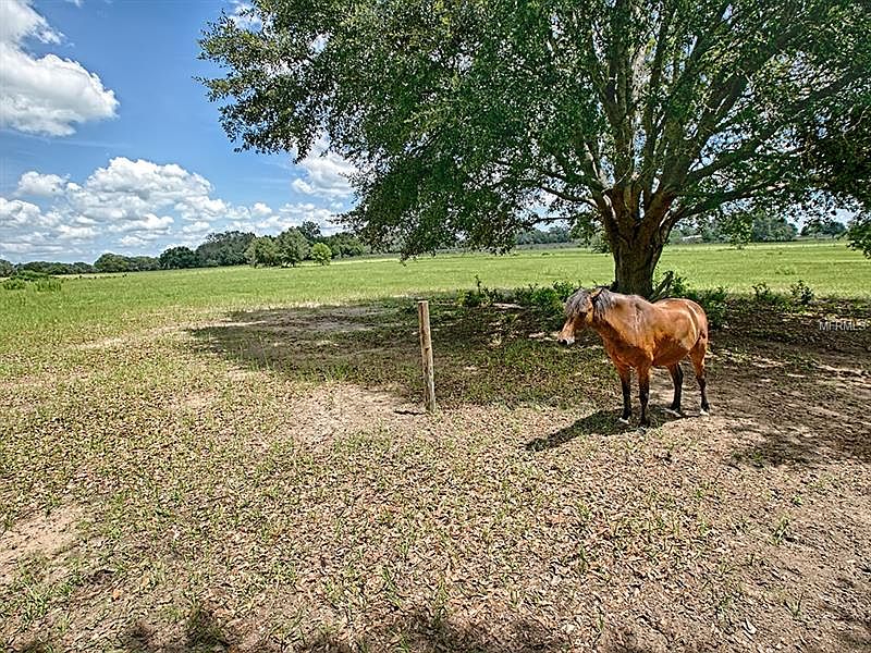1st image of 0 Cr 104
