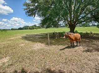 0 Cr 104, Oxford, FL 34484