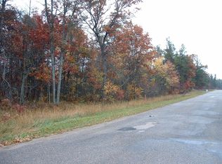 01 Burton Rd, South Branch Twp, MI 48653