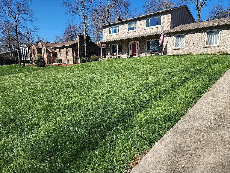 3122 Elmwood Dr — Photo 32