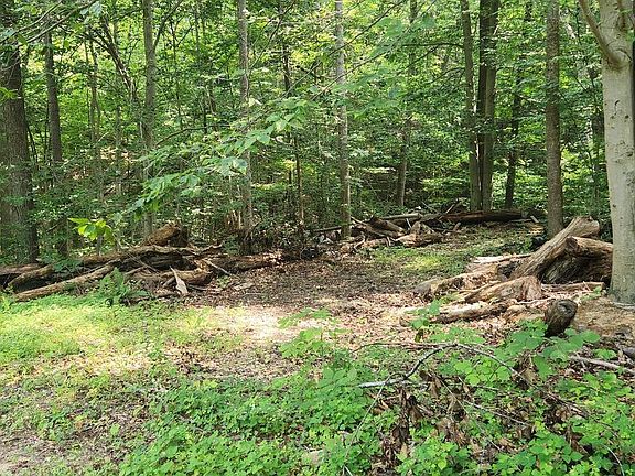 4th image of 202 & 203 Bobbie Ct