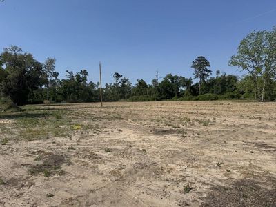 0 Mills Ln Tract B, Pearson, GA, 31642