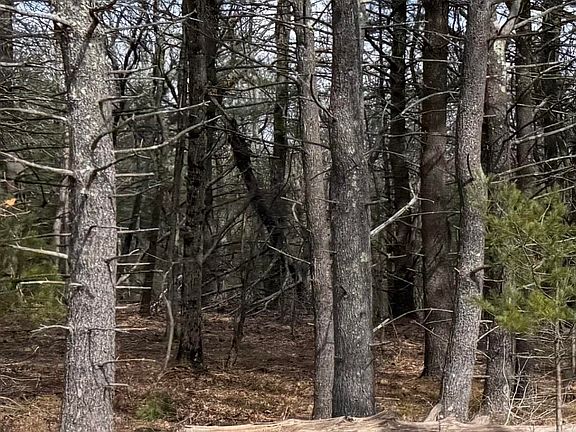 3rd image of 0 County Rt 312