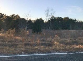 3164 Neely Wingard Rd, Leesville, SC 29070