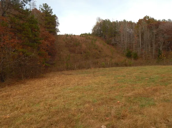 0 Clifton Tpke, Waynesboro, TN 38485