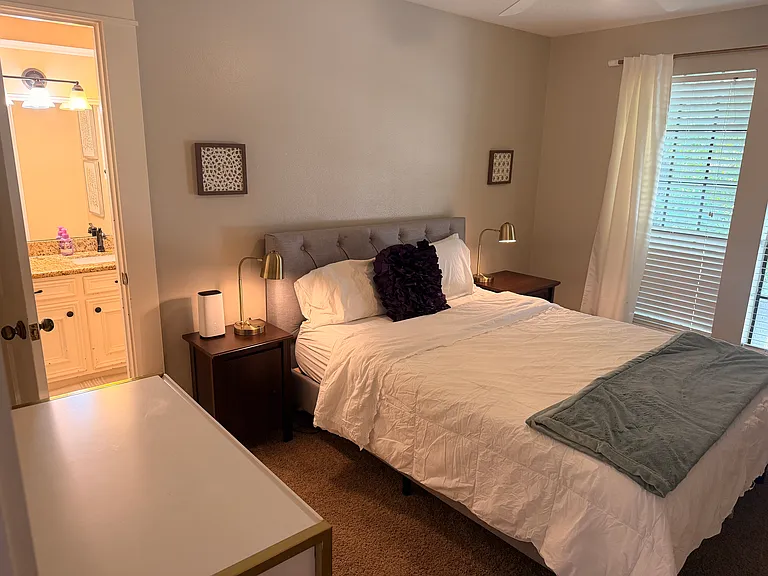6035 Spring Creek Grove Ln — Photo 19