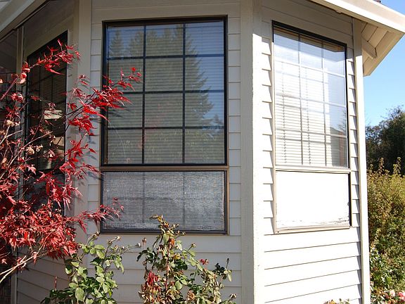 New Windows- Exterior( 2006)