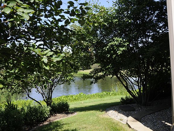 view lower end of lot