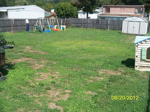 back yard