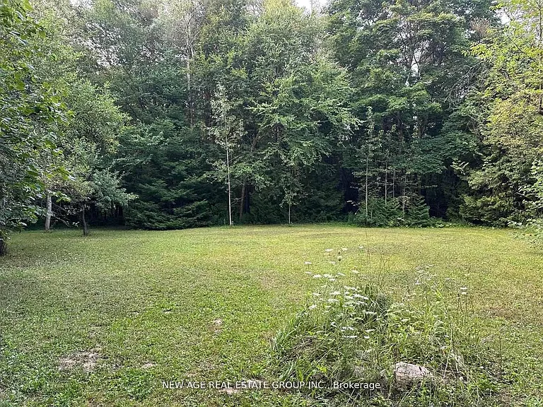9031 Side Road 17 — Photo 16