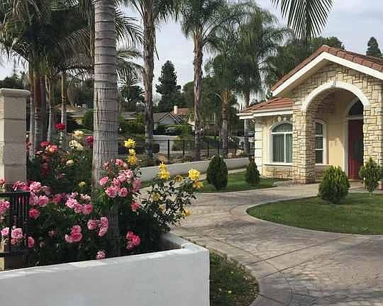 Front yard