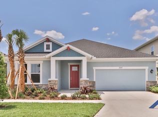 2537 Portico St, Odessa, FL 33556