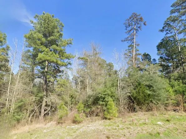 7-23 83 Sky Oak Lane Lane Flt, Huntsville, TX 77340