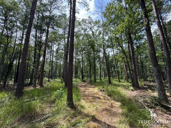 Fox Paw Ct, Branchville, SC 29432