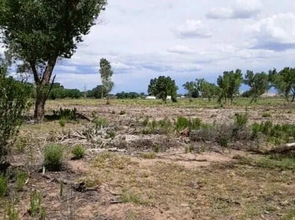 X Rd #5195, Bloomfield, NM 87413