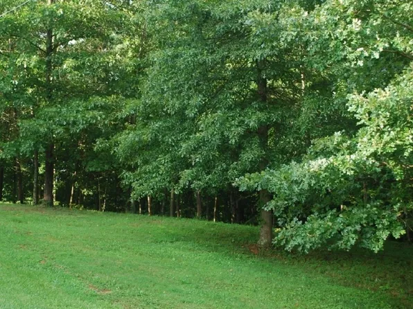 0 Poplar Heights Rd, Pt Pleasant, WV 25550