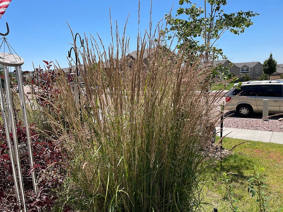 2nd image of 7114 Thorn Brush Way