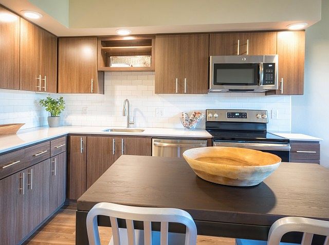 Built-In Microwave Vent Hoods