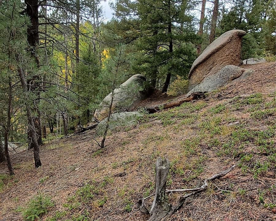 0 N Rampart Range Rd, Sedalia, CO 80135 MLS 2941321 Zillow