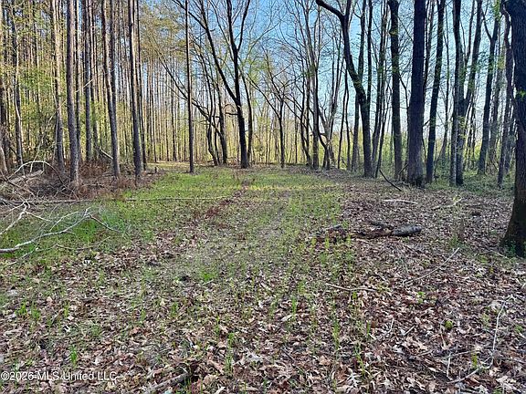 2nd image of County Road 493