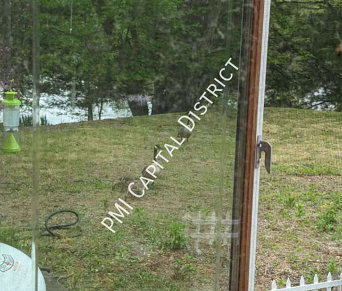 3407 Rosendale Rd — Photo 48