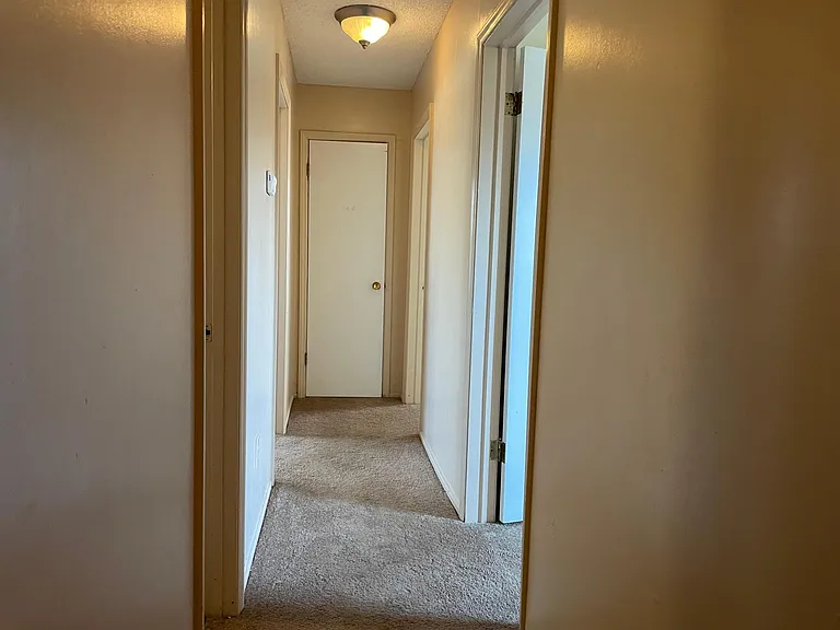 3501 Woodview Dr — Photo 13