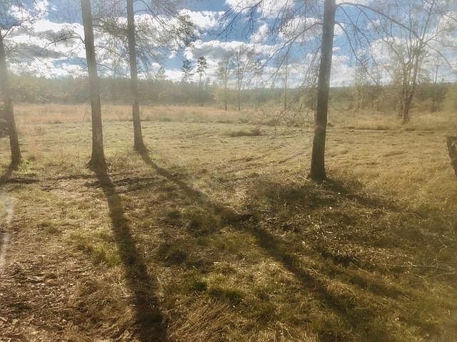2nd image of LOT 21 Kinder Cemetery Rd