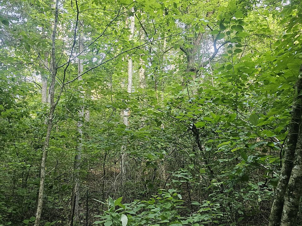 1st image of 0 Tomahawk Slab Rd
