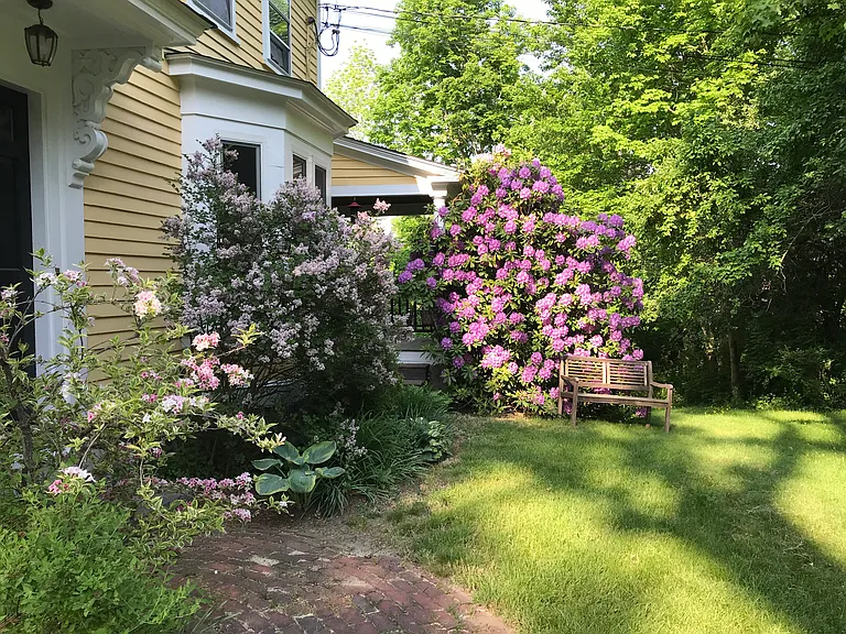 Front garden