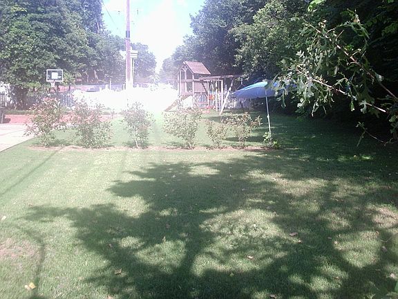 Kids play area and fort