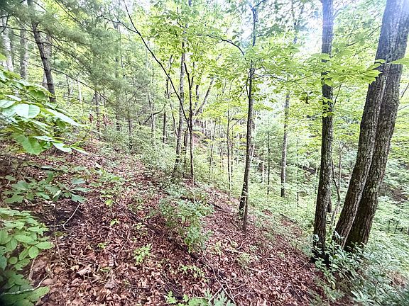 5th image of 4354 Yellow Creek Rd