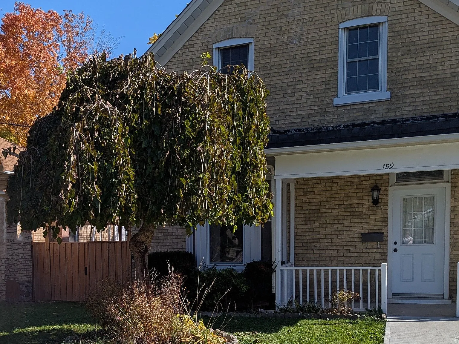 3 bed, $2,799 — Photo 2