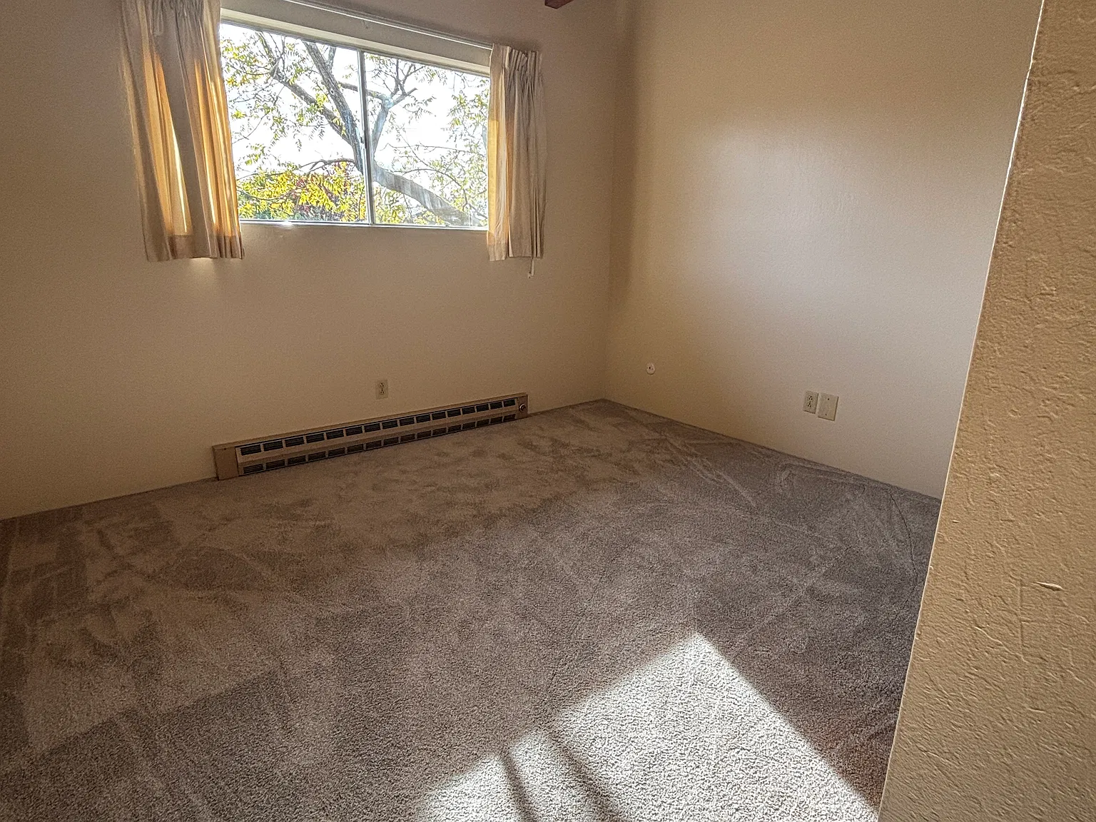 2 bed, 500 sqft, $1,095 — Photo 4