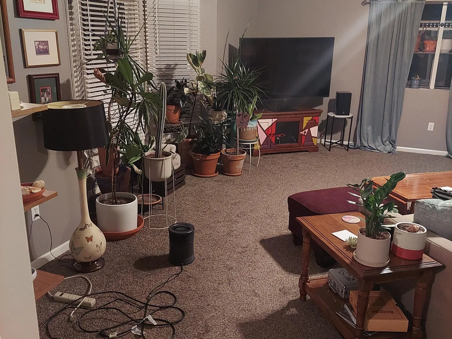 3 bed, 1.5 bath, 1491 sqft, $1,950 — Photo 4