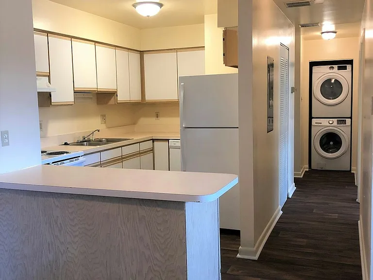 105 E Allen St #308 — Photo 9