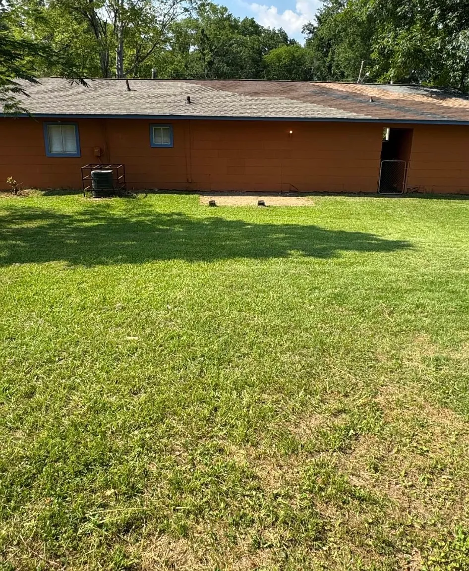 3 bed, 1118 sqft, $1,250 — Photo 4