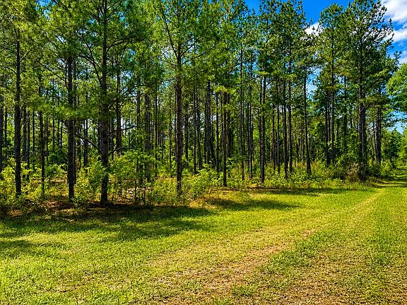 5th image of 0 Lower River Rd