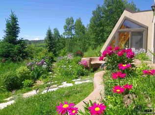 57675 Miners Dream Dr, Clark, CO 80428