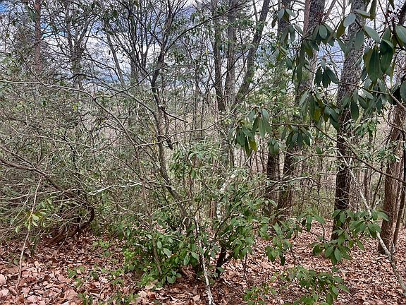 2nd image of 516 Chicasaw Dr