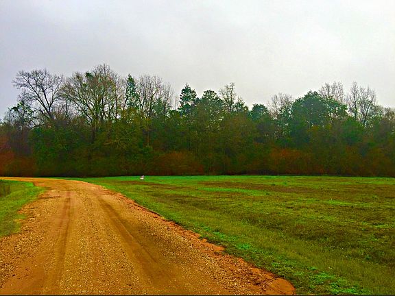 3rd image of Hwy 97