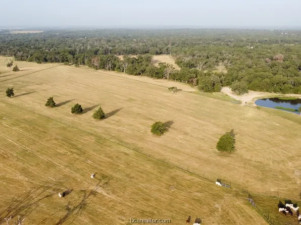 3638 Harbor Bolton Rd, Franklin, TX 77856